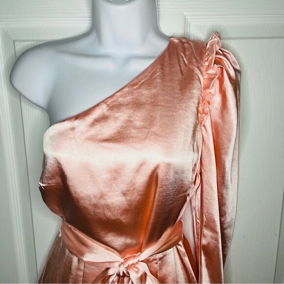 Red Dress Boutique Aaakaa Wish For More One Shoulder Ruffle Satin Dress Blush M - Picture 6 of 13